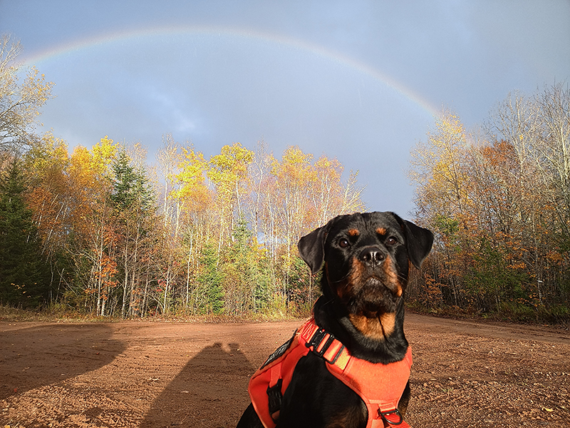 Sasha looking proud under a rainbow